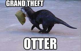 pun
