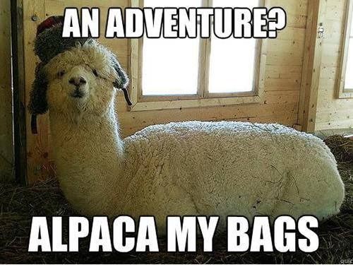 pun