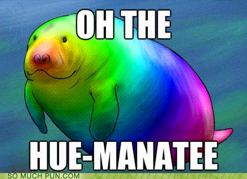 pun